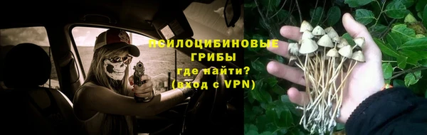 не бодяженный Арсеньев