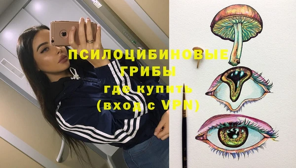 не бодяженный Арсеньев