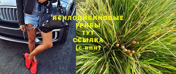 не бодяженный Арсеньев