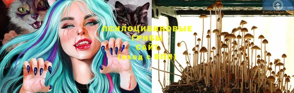 ALPHA PVP Аркадак