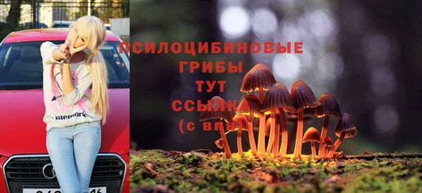 не бодяженный Арсеньев