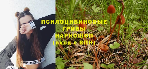 таблы Алексеевка